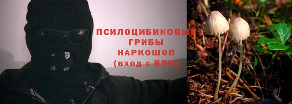 таблы Арсеньев
