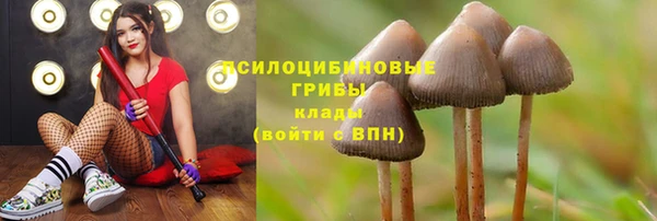 бутират Аркадак