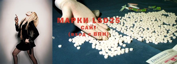 гашик Армянск